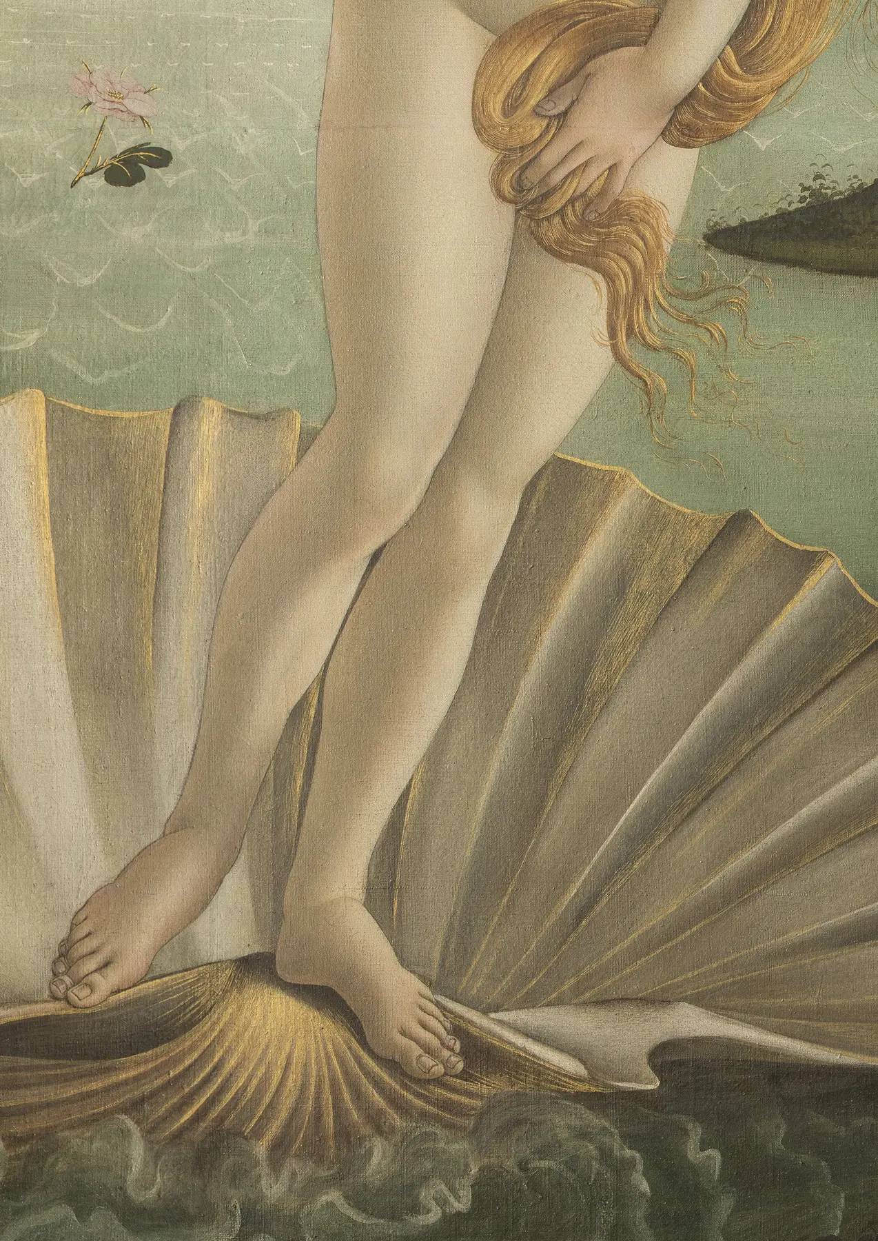 Dettaglio materico della Venere di Botticelli